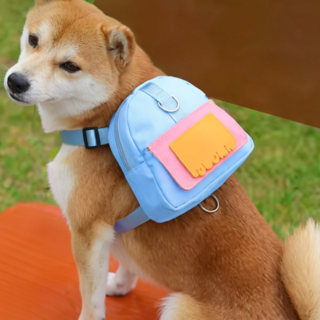 PawPack™ Explorer Dog Backpack Adventure Starts with Your Best Friend.
