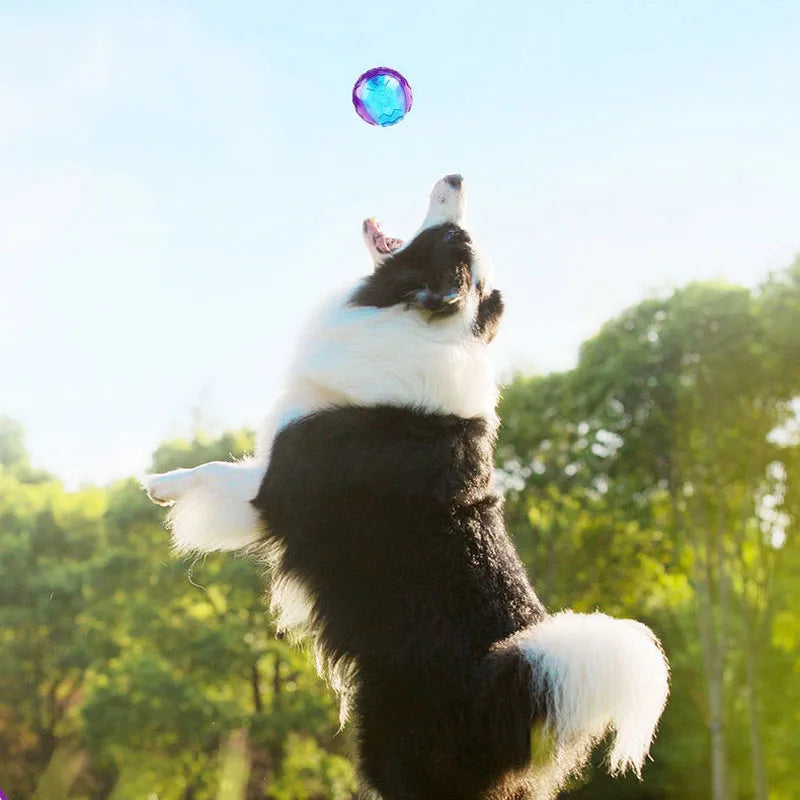 Pet Dog Puppy Squeaky Chew Toys Sound Pure Natural Non-Toxic Rubber Outdoor Play Small Large Dogs Funny Ball for Dog Accessories
