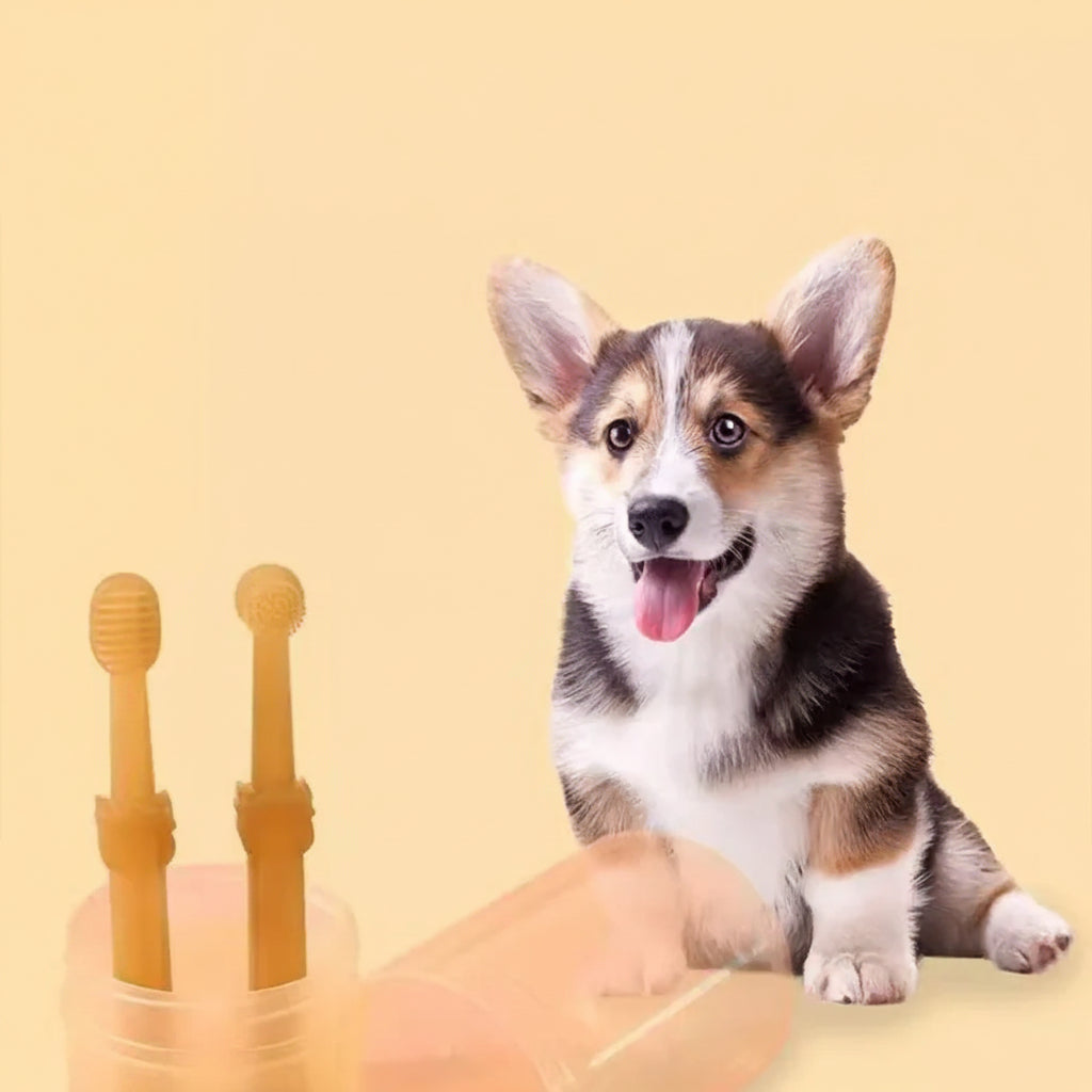 2Pcs Silicone Pet Toothbrush Soft Dog Cat Oral Care Tongue Scraper Massage Multi-Angle Cleaning Brush for Pets