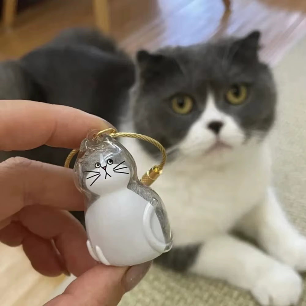 Transparent Cat Hair Storage Keychain Pendant Pet Fur Keepsake Memorial Souvenir for Backpack Bag Car Key Ginger Cat Lover Gift