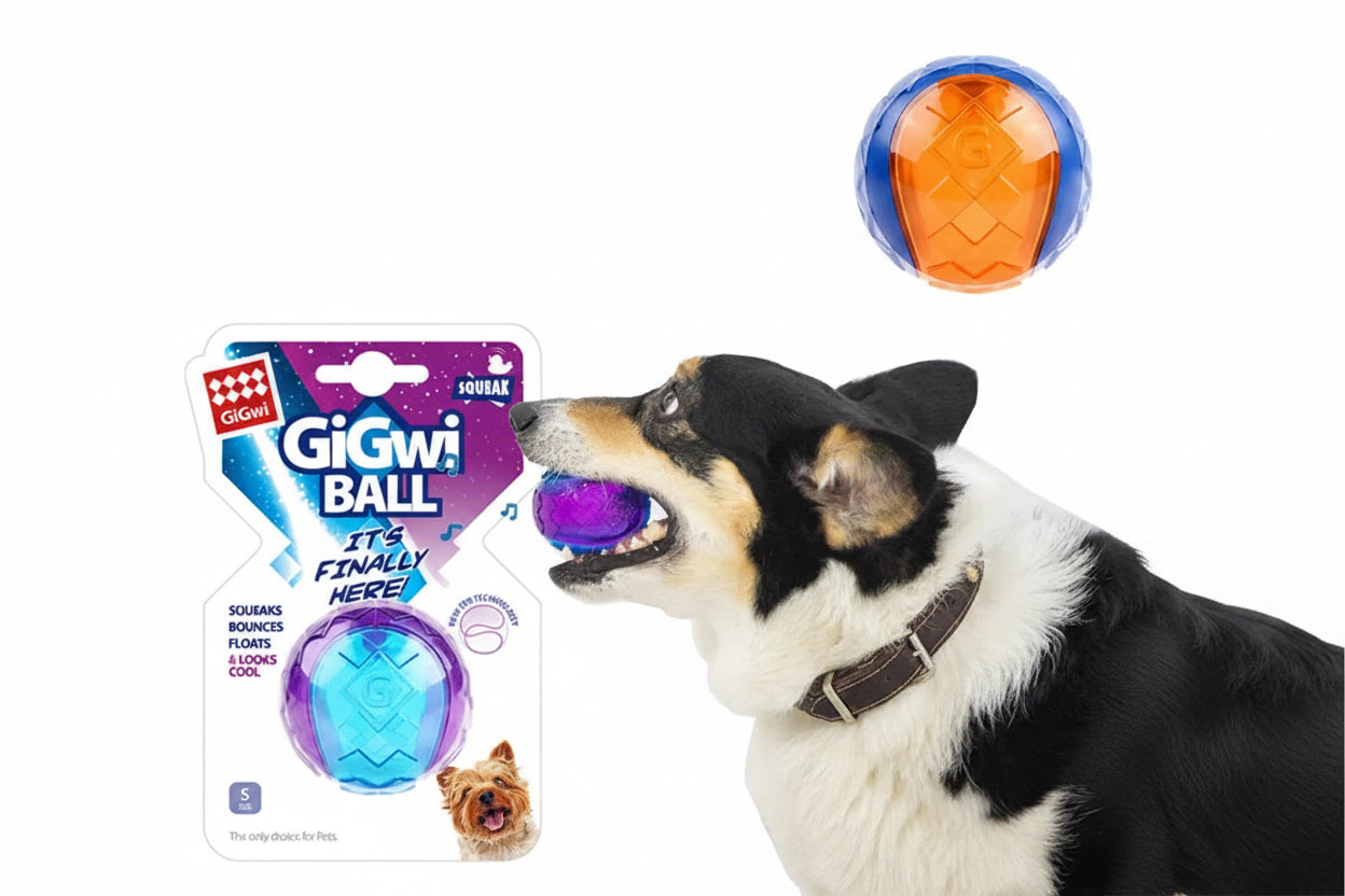 Pet Dog Puppy Squeaky Chew Toys Sound Pure Natural Non-Toxic Rubber Outdoor Play Small Large Dogs Funny Ball for Dog Accessories