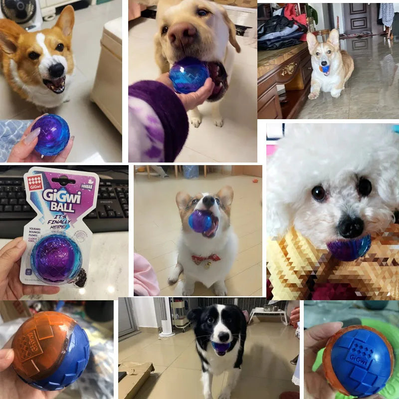Pet Dog Puppy Squeaky Chew Toys Sound Pure Natural Non-Toxic Rubber Outdoor Play Small Large Dogs Funny Ball for Dog Accessories